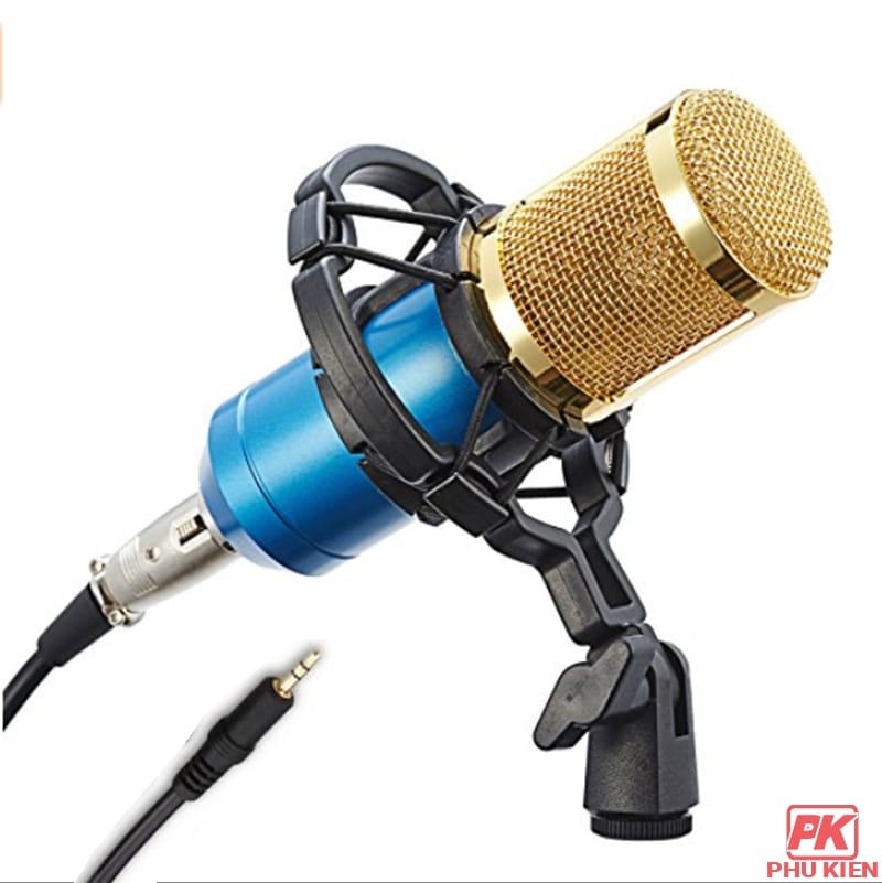 Micro thu âm BM-800 livestream chất lượng cao 2 Micro thu âm BM-800 livestream chất lượng cao - Ảnh 2